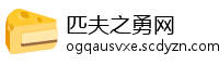 匹夫之勇网
